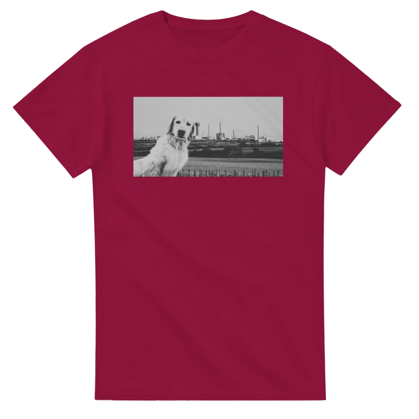 c24f871e-153c-4c5e-b2ee-d665f436424d