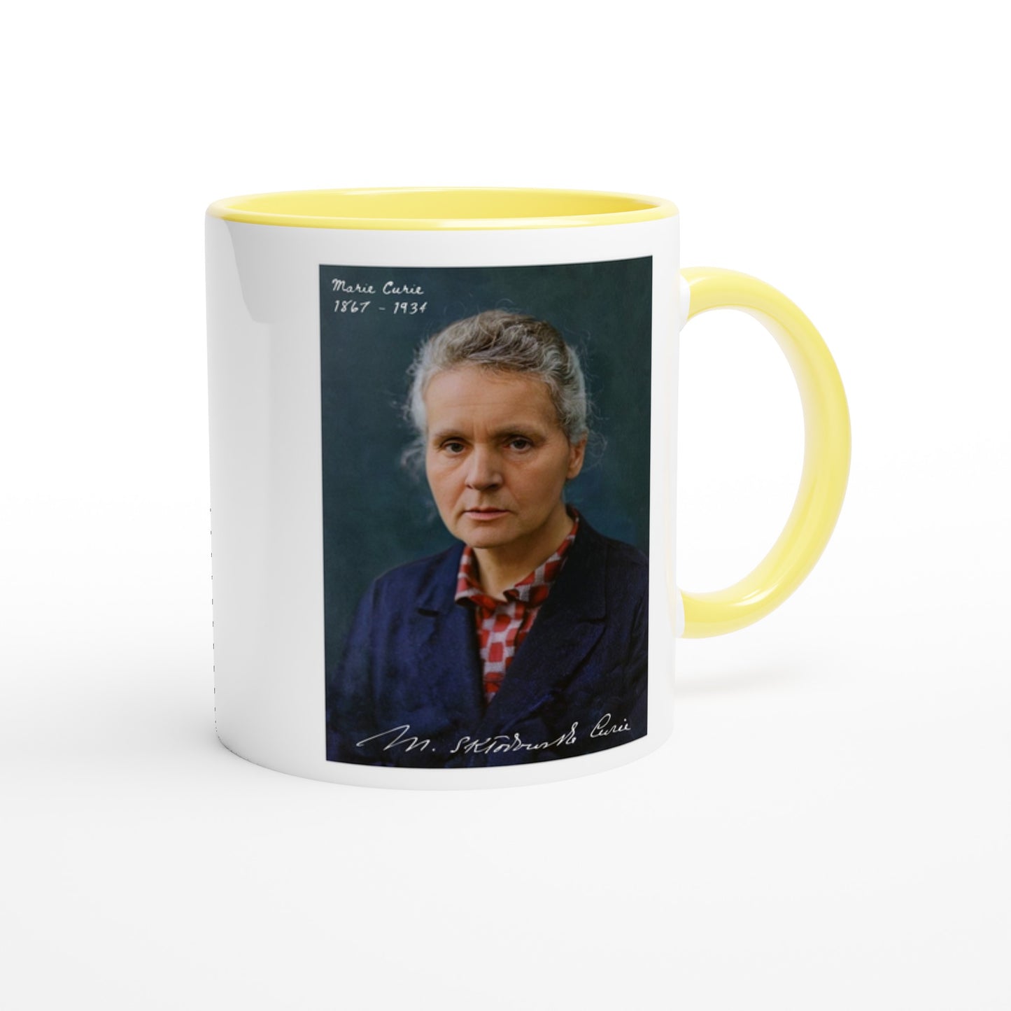 909ca6bd-b67b-4132-bac1-3ebc085352d3